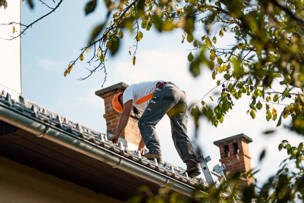 Best Roof Waterproofing Services  in Elfers, FL