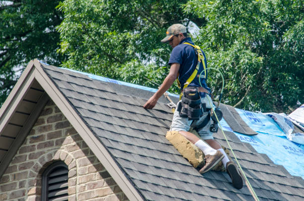 Best Best Roofing Contractors  in Elfers, FL